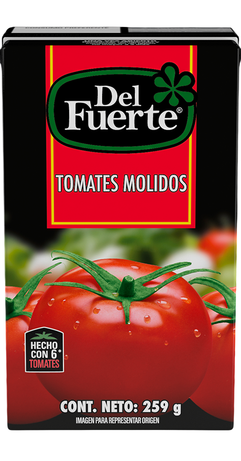 PURE DE TOMATE CONDIMENTADO DEL FUERTE 24/259 GR