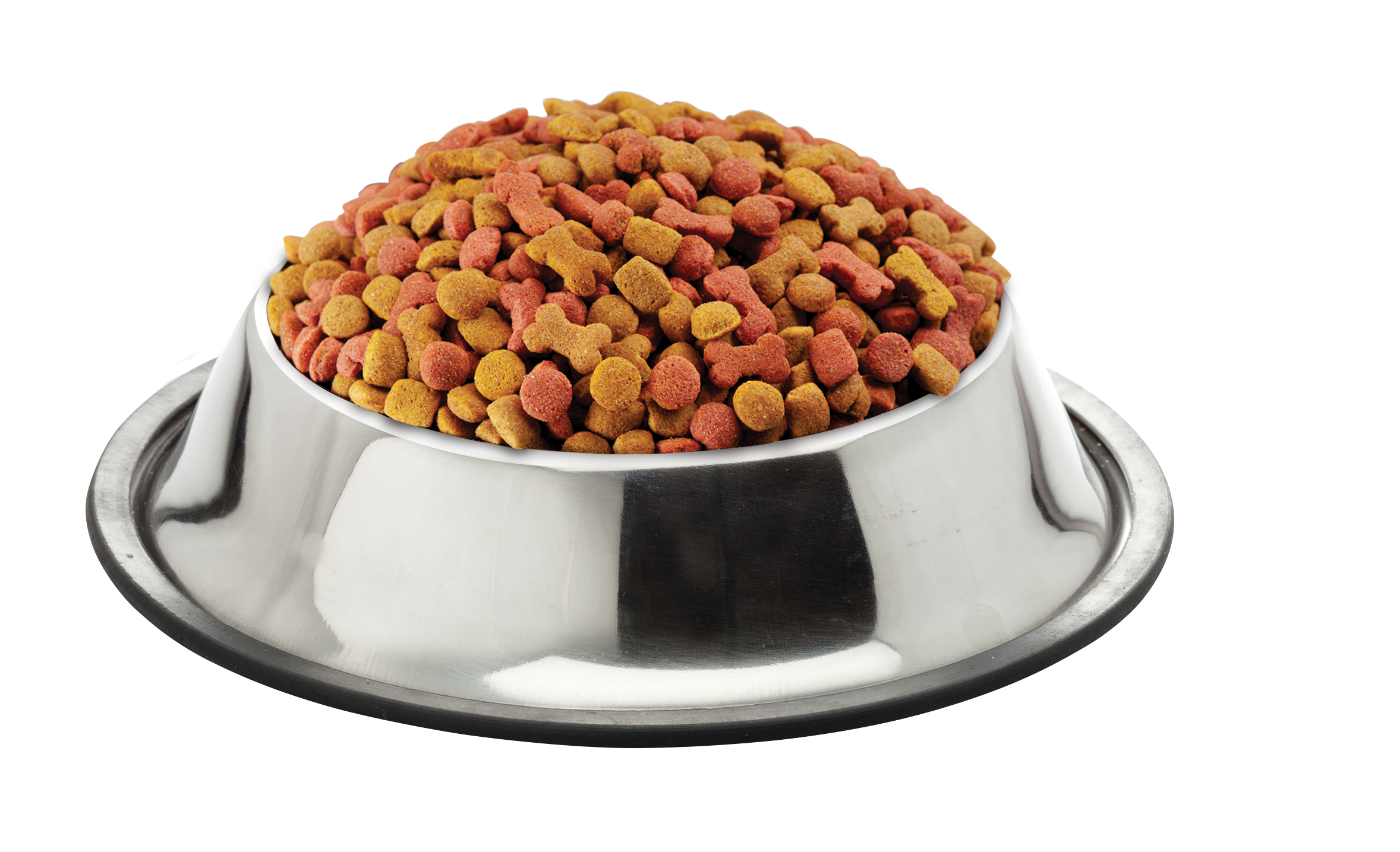 COMIDA P/PERRO DOG STAR ADULTO KG