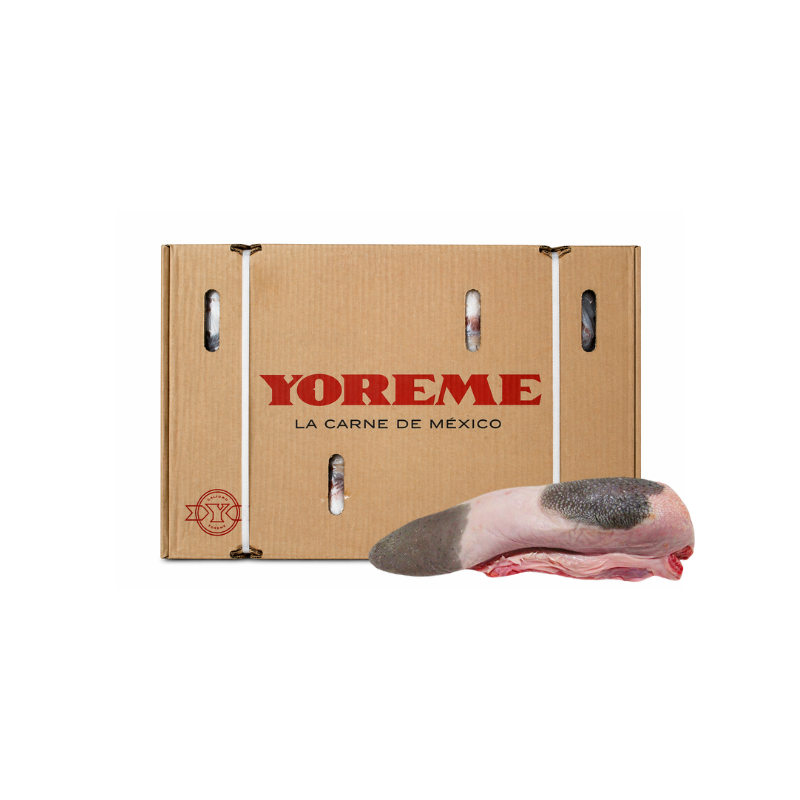 LENGUA DE RES YOREME