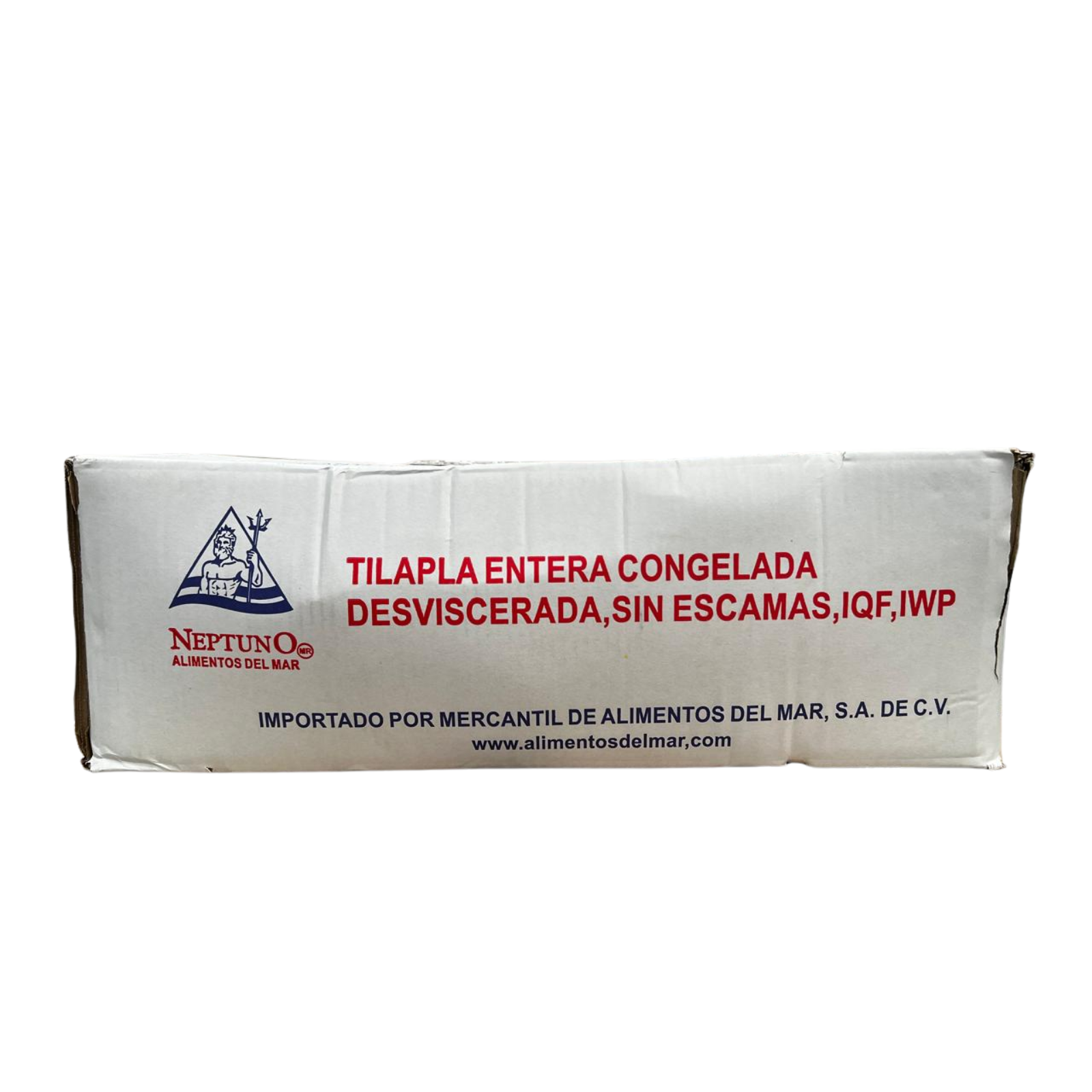 MOJARRA ENTERA NEPTUNO 40 LB