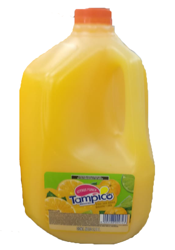 JUGO CITRUS PUNCH TAMPICO 6/3.780 LT