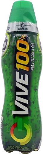 BEBIDA ENERGETIZANTE VIVE 100 24/300 ML