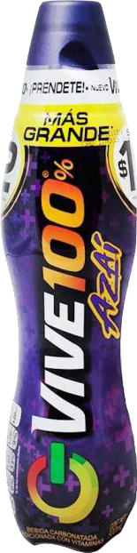 BEBIDA ENERGETIZANTE VIVE 100 AZAI 24/500 ML