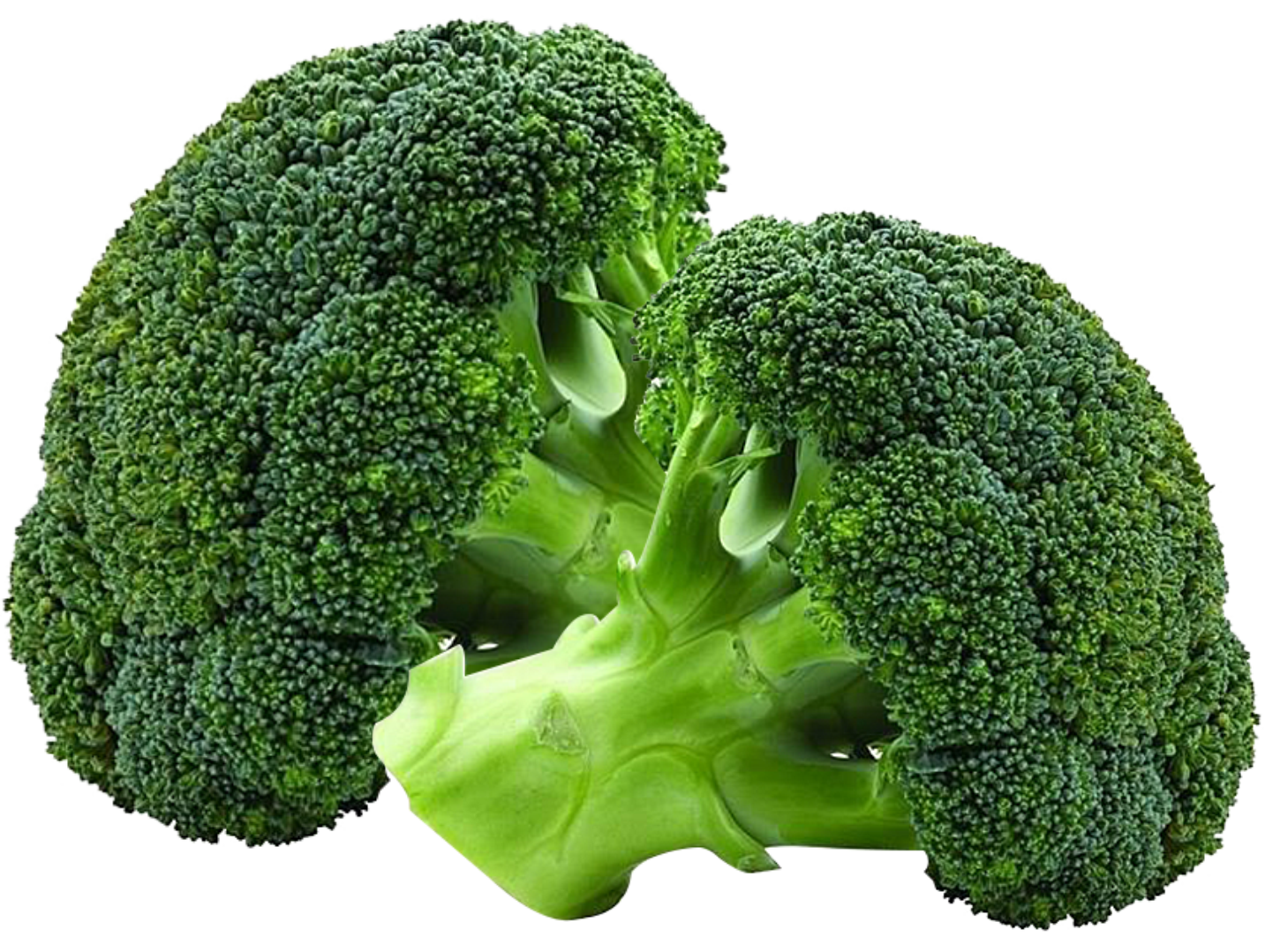 BROCOLI PZA