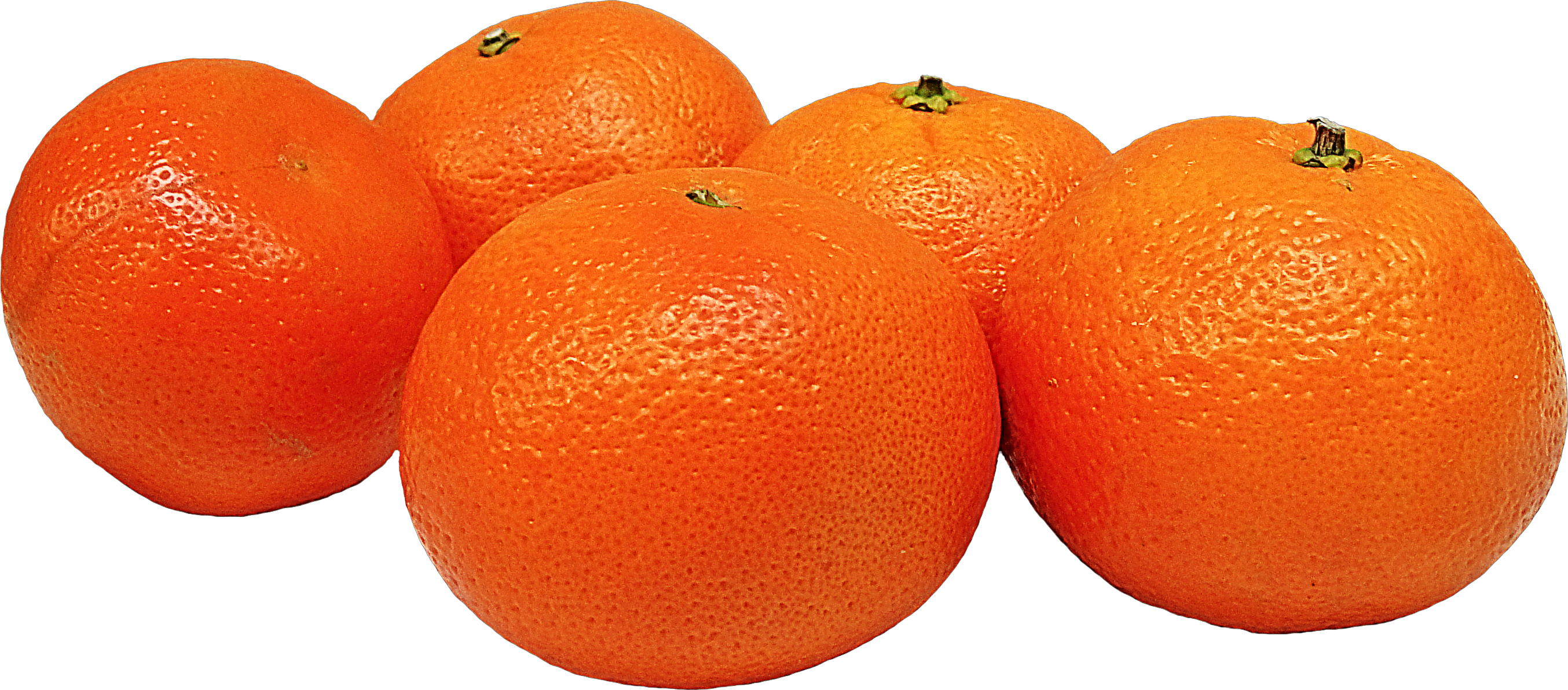 MANDARINA KG.