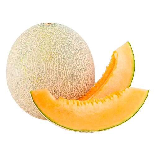 MELON KG.