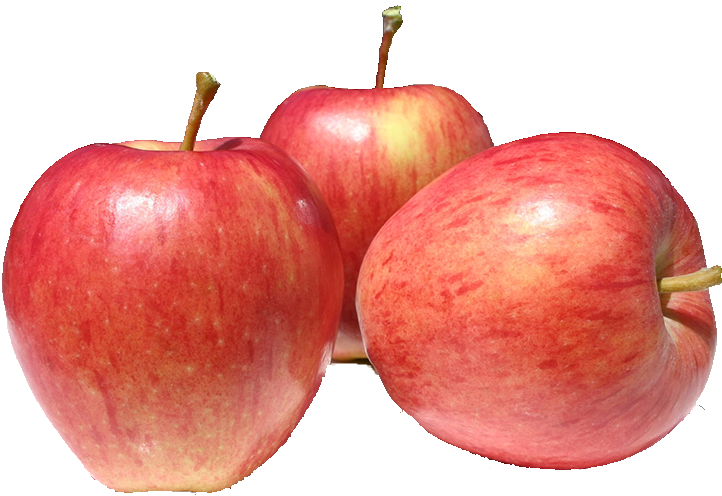 MANZANA GALA KG