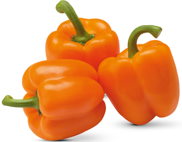 CHILE MORRON NARANJA KG