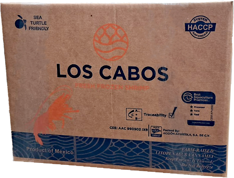 CHAROLA FOAM 855 REYMA 10/50 PZA