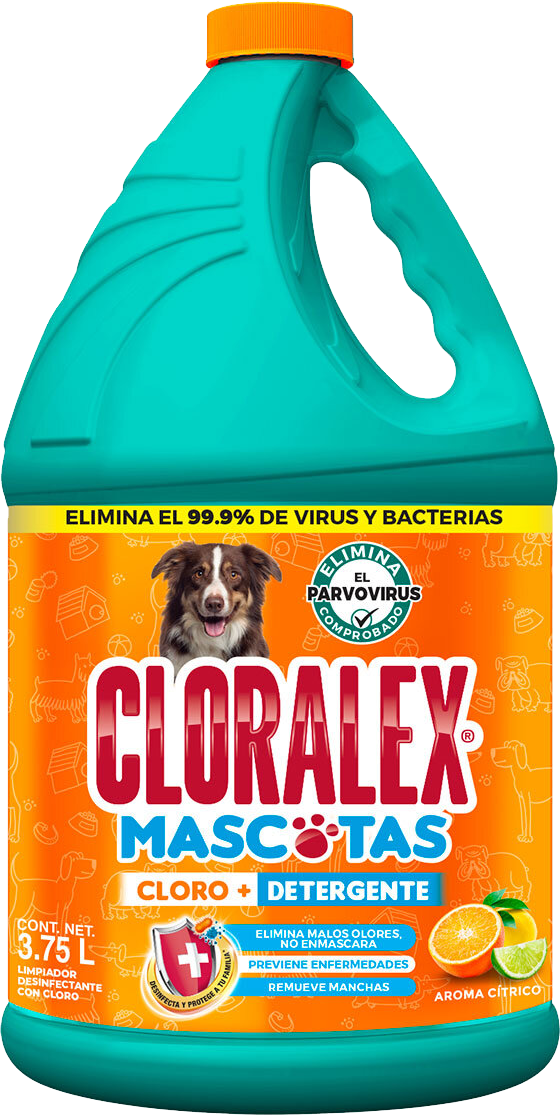CLORO CLORALEX MASCOTAS 6/3.7 LT