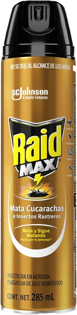 INSECTICIDA RAID MAX 12/285ML