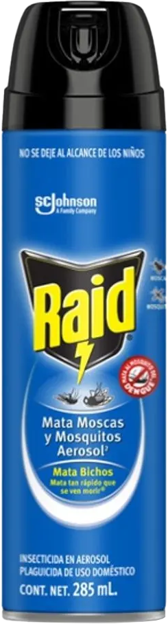 INSECTICIDA RAID MATA BICHO 12/285GR