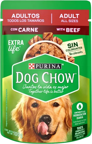 COMIDA P/PERRO ADULTO DOG CHOW CARNE POUCH 12/100 GR