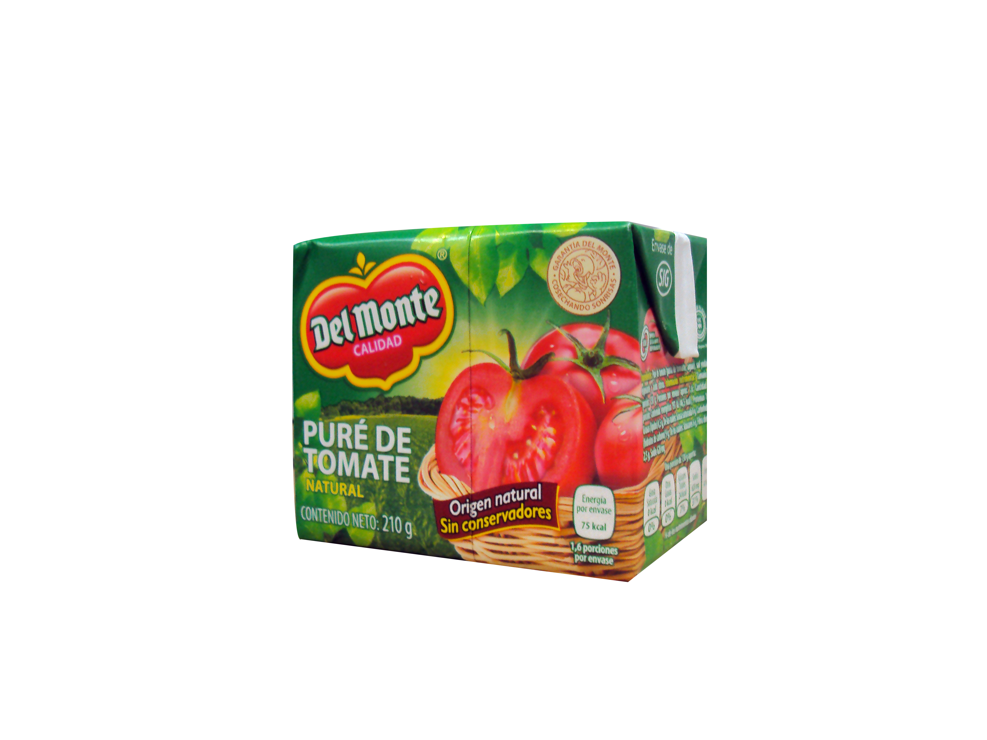 PURE DE TOMATE CONDIMENTADO DEL MONTE 24/210 GR