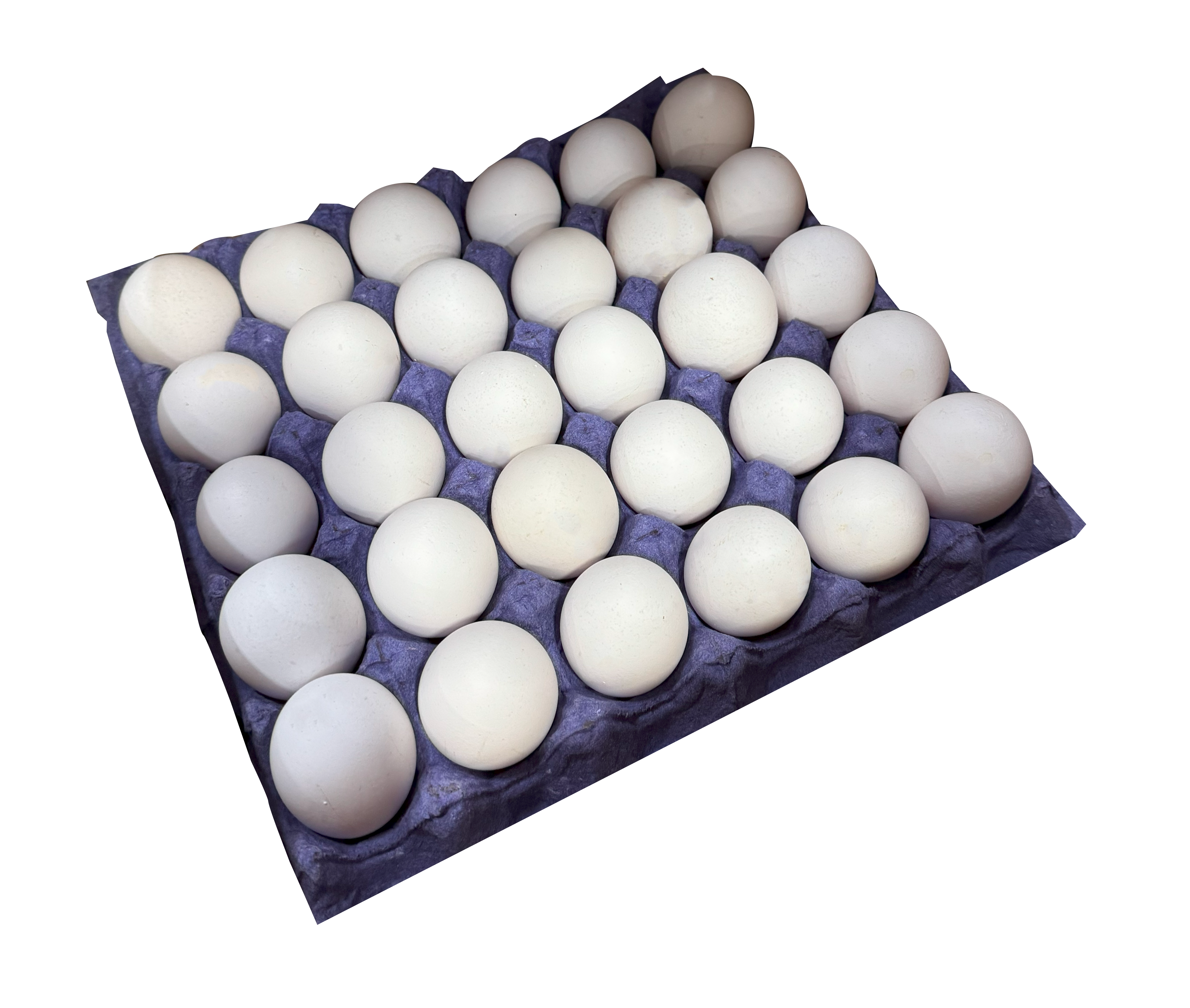 HUEVO QUETZAL 12/30 PZ