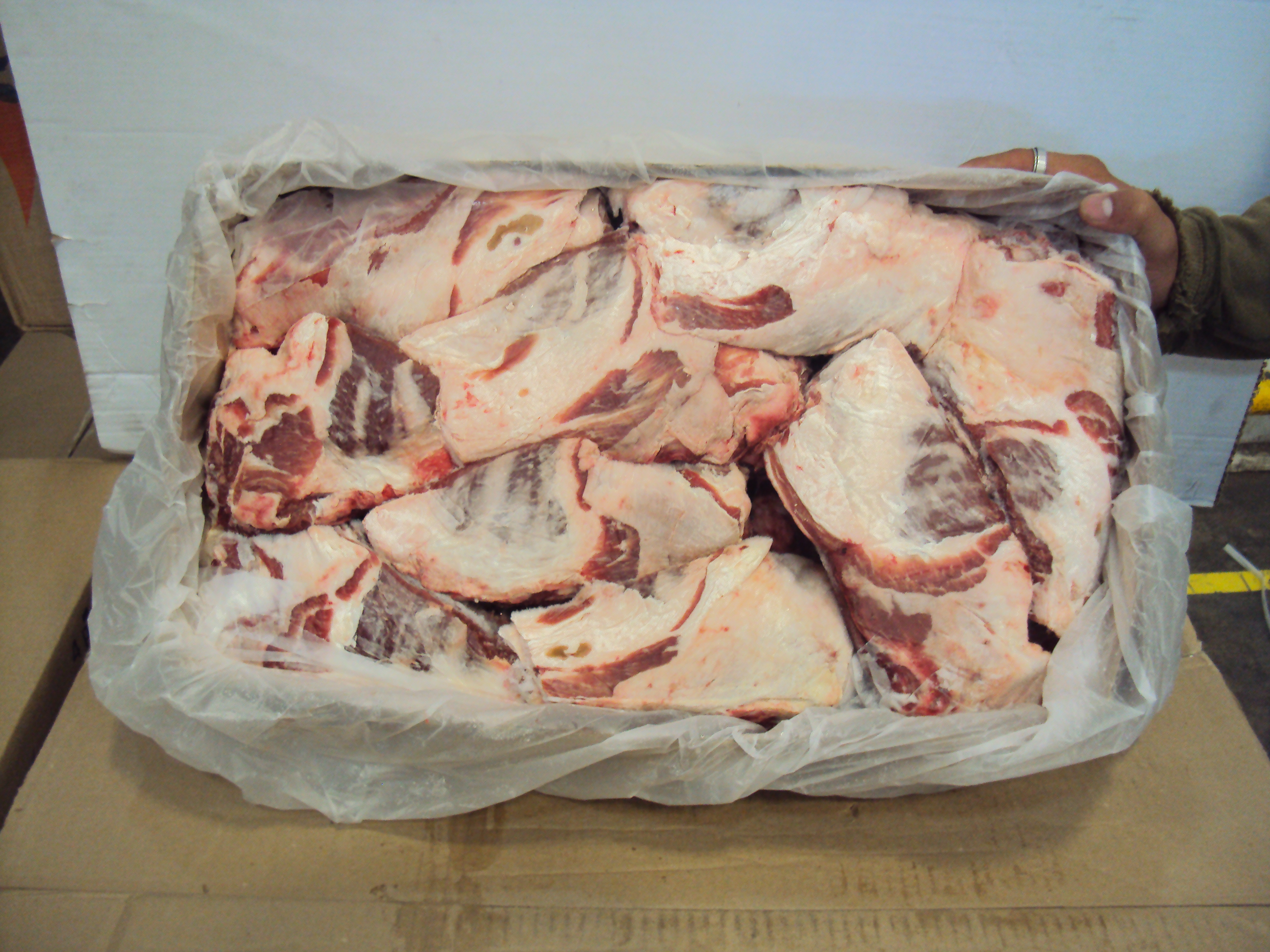 PESCUEZO DE BORREGO AUSTRALIANO AMBASSADOR