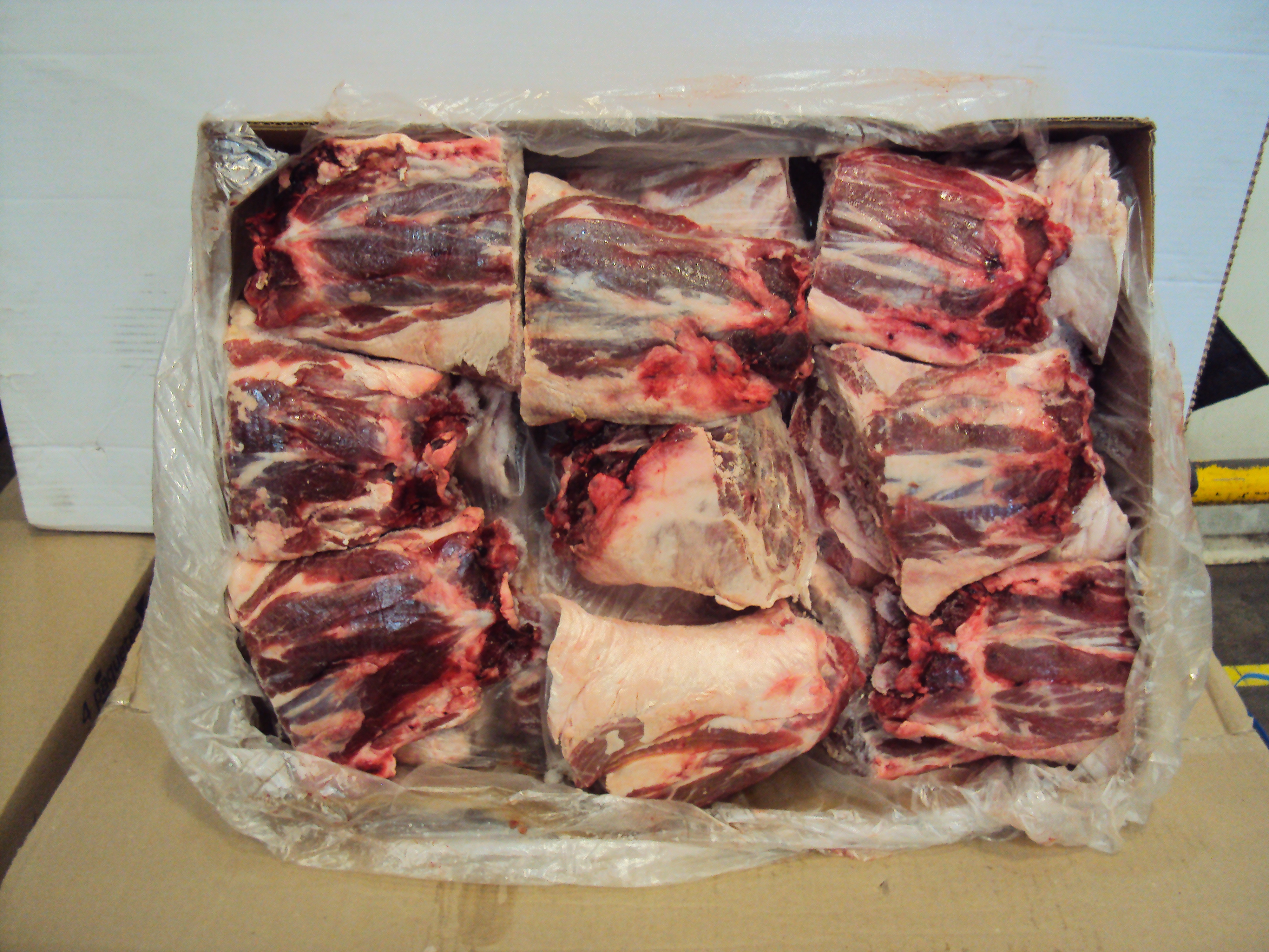 PESCUEZO DE BORREGO AUSTRALIANO GOLD JUNEE