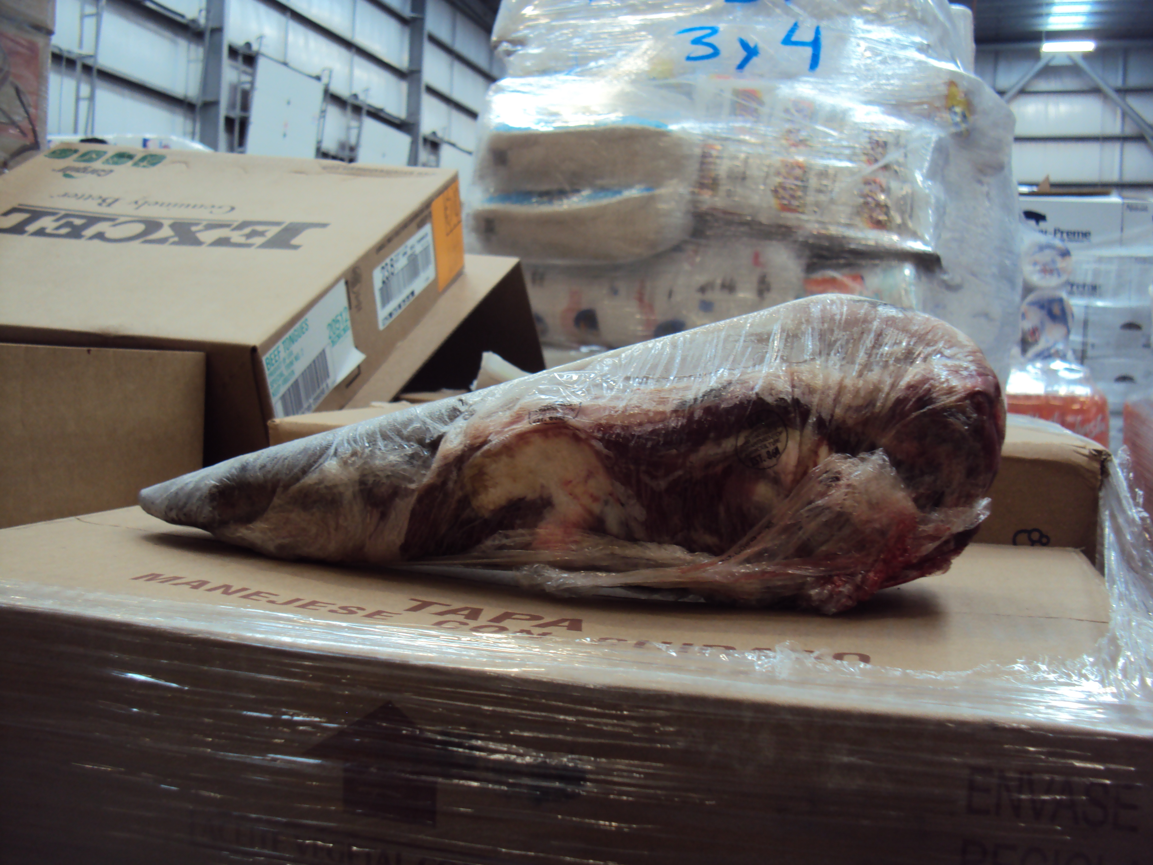 LENGUA DE RES EXCEL.