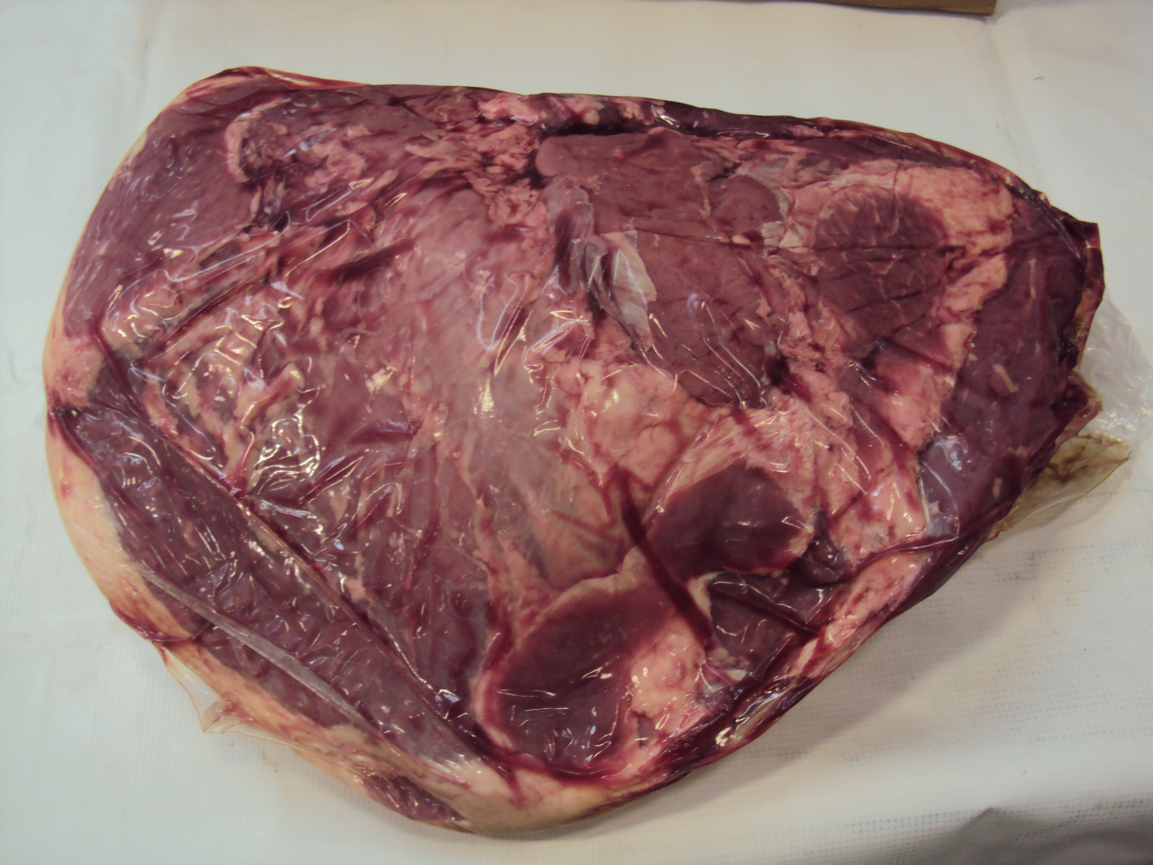 CARNE DE RES PALETA NATIONAL BEEF XT